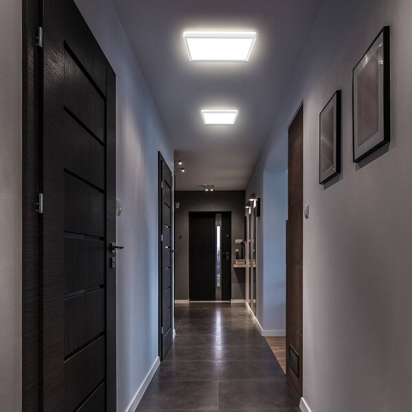 LED panel Eki, 29 x cm, biely, stmievateľné, podsvietenie, 4 000 K, Biela / opálová, Pracovňa / Kancelária, Plast, Stropné svetlo