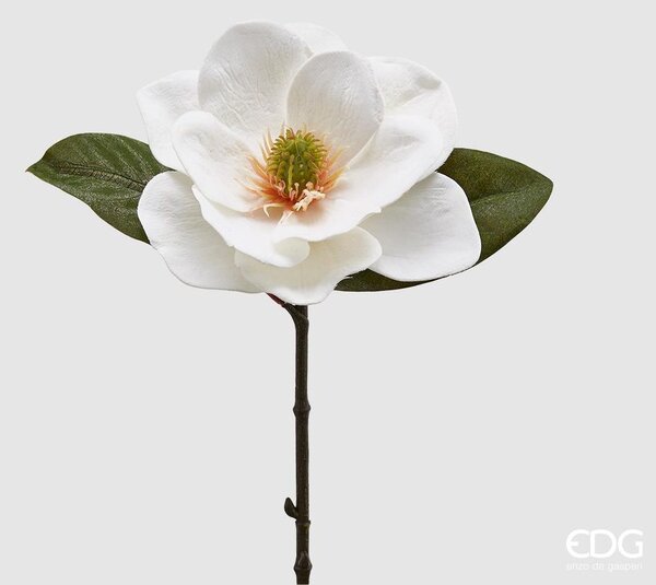 EDG Magnolie biela, 30 cm