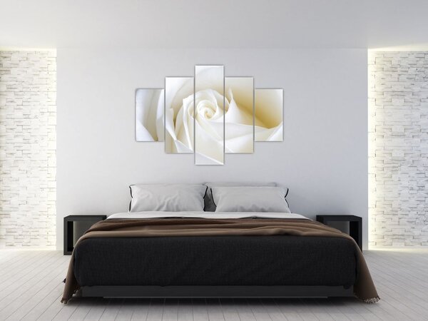 Obraz biele ruže (Obraz 150x105cm)