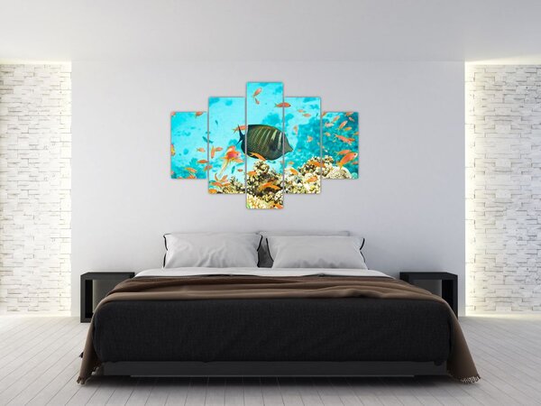 Obraz podmorského sveta (150x105 cm)