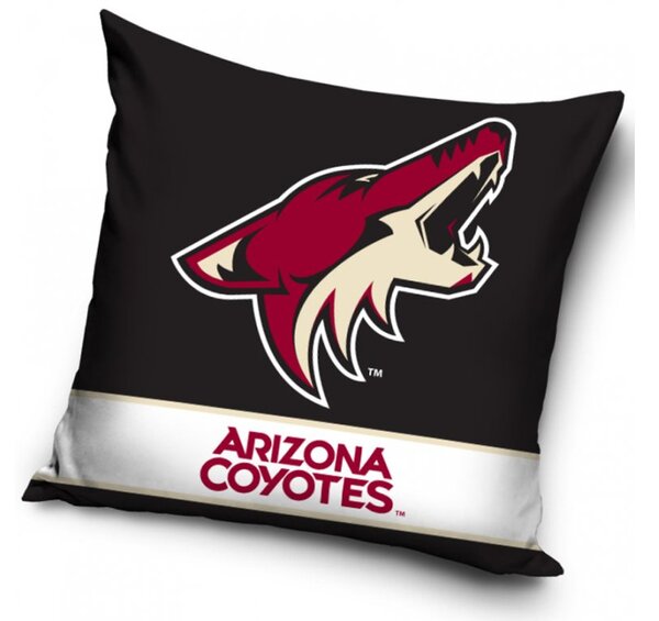 Vankúšik NHL Arizona Coyotes 40x40 cm