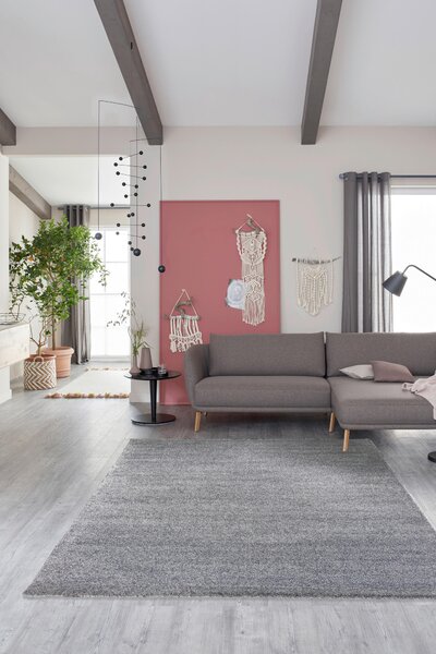 KOBEREC S VYSOKÝM VLASOM, 200/290 cm, strieborná Schöner Wohnen - Koberce