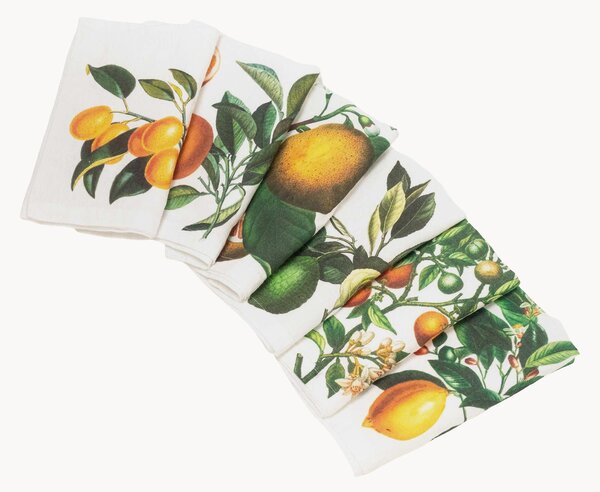 Ľanové obrúsky Citrus, 6 ks