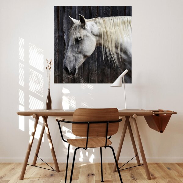 INSPIO-textilná prelepiteľná nálepka - Nálepky na stenu - Biely kôň