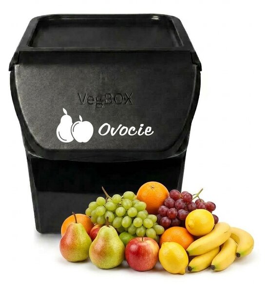 VILDE Sada 2ks úložných boxov VEGBOX na zemiaky a zeleninu s vetraním, VEGBOX čierny+sivý (14l )