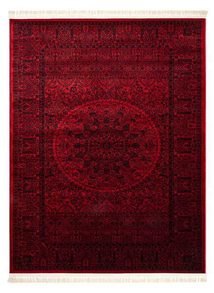 Dywany Łuszczów, Kusový koberec Orient 6039 vínový, 150x230, červená, kancelária
