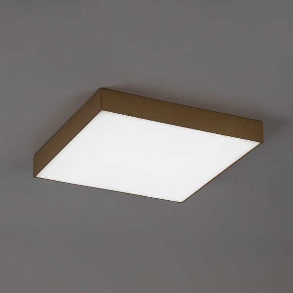 Rabalux 77000 - LED kúpeľňové stropné svietidlo TARTU 24W/230V 2800/4000/6000K IP44