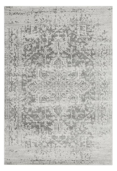 Sivý koberec 160x230 cm Nova – Asiatic Carpets