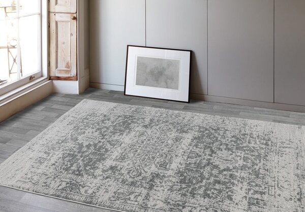 Sivý koberec 160x230 cm Nova – Asiatic Carpets