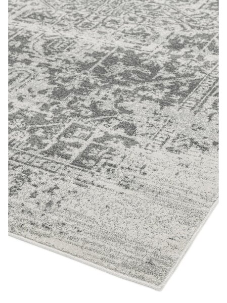 Sivý koberec 160x230 cm Nova – Asiatic Carpets