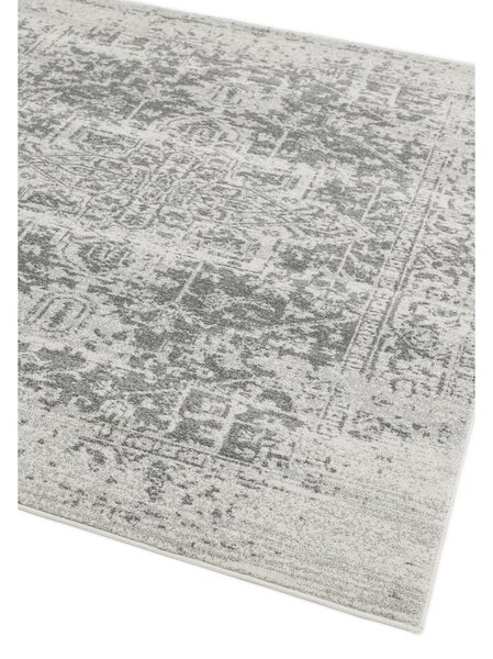 Sivý koberec 160x230 cm Nova – Asiatic Carpets