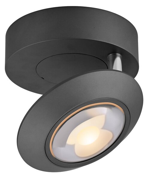 Stropné Lampa PURE, Oculis, stmievateľné, Čierna, Obývacia izba, Kov, Moderný