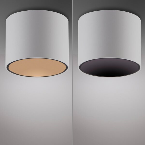 Stropné Lampa PURE, Point, stmievateľné, Biela, Kúpeľňa, Kov, Moderný