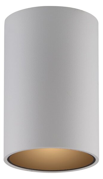Stropné Lampa PURE, Point, stmievateľné, Biela, Kúpeľňa, Kov, Moderný