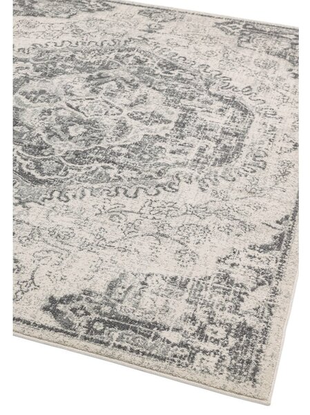 Sivo-krémový koberec 160x230 cm Nova – Asiatic Carpets