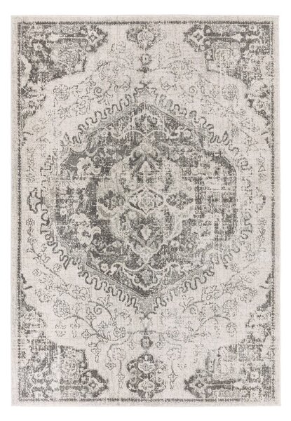 Sivo-krémový koberec 160x230 cm Nova – Asiatic Carpets