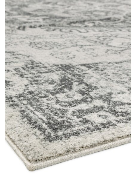 Sivo-krémový koberec 160x230 cm Nova – Asiatic Carpets