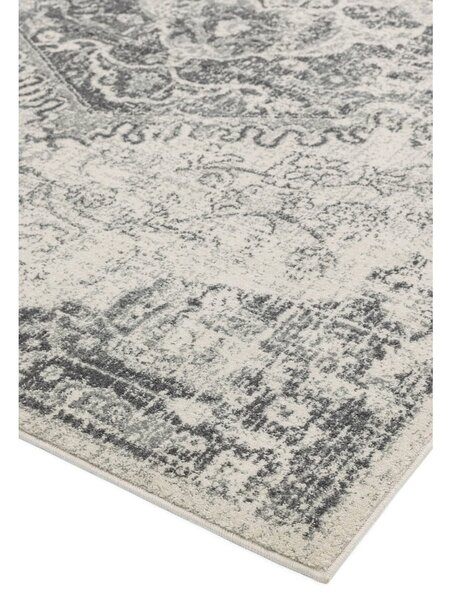 Sivo-krémový koberec 160x230 cm Nova – Asiatic Carpets