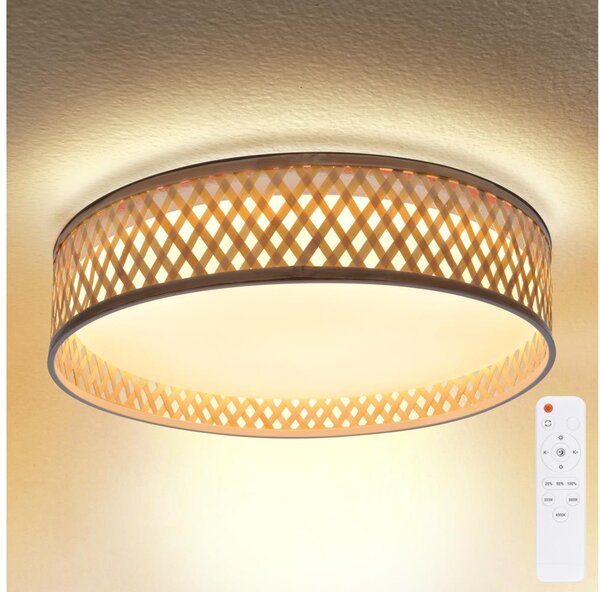 Brilagi - LED Stmievateľné stropné svietidlo CAMILA LED/48W/230V 3000-6500K + DO