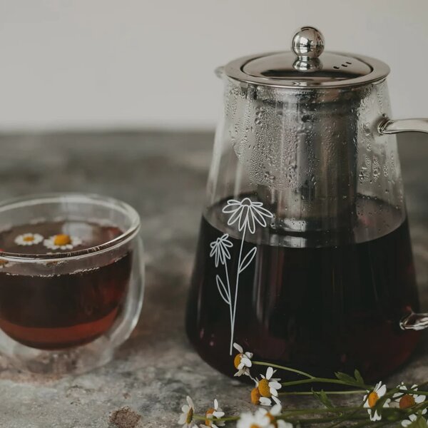 Kanvice na čaj s nerezovým sitkom Daisy 1,2 l