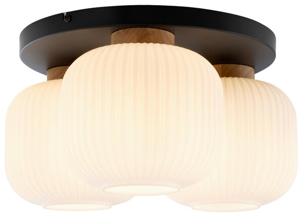 STROPNÉ SVIETIDLO, 45.5/22 cm Collett's Monde - Online Only bytové doplnky, Online Only