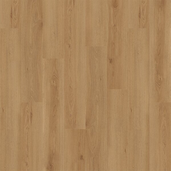WINFLEX STABILO 1222 DUB SORIA 1,32 m²