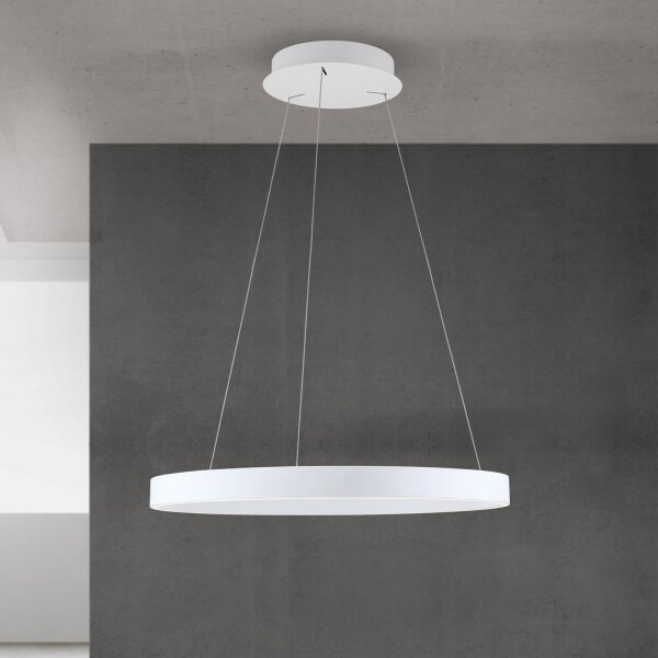 Orion - LED stmievateľný luster na lanku KOLK LED/60W/230V 2700/3000/4000K pr. 60 cm biela