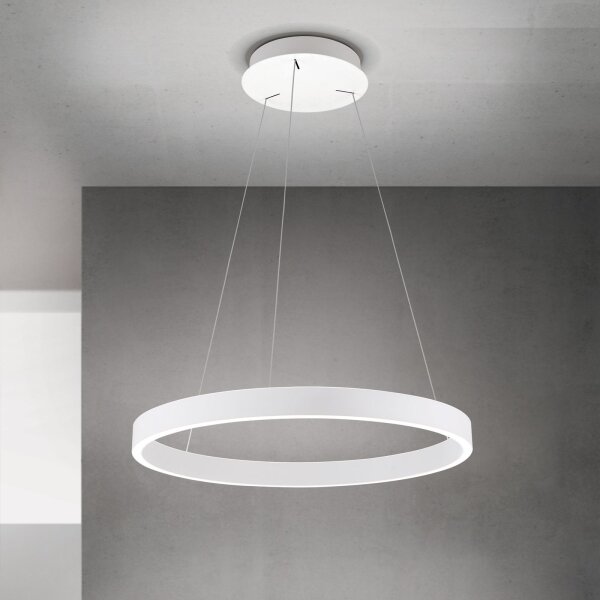 Orion - LED stmievateľný luster na lanku KOLK LED/60W/230V 2700/3000/4000K pr. 60 cm biela