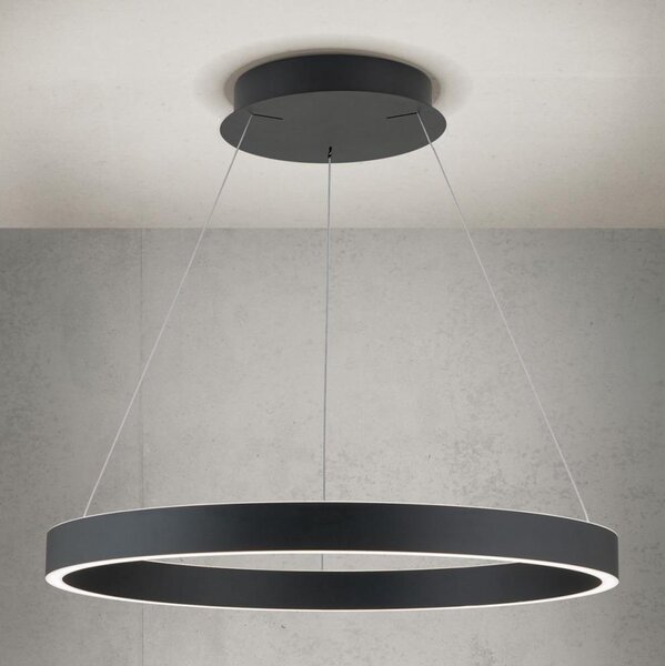 Orion - LED stmievateľný luster na lanku KOLK LED/60W/230V 2700/3000/4000K pr. 60 cm čierna