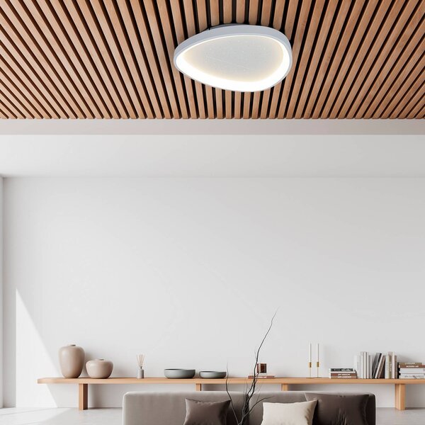 Stropné LED svetlo Argesa Ø 60,5 cm, biele, diaľkové ovládanie, Biela / opálová, Obývacia izba / jedáleň, kov, Moderný, Závesné svietidlo