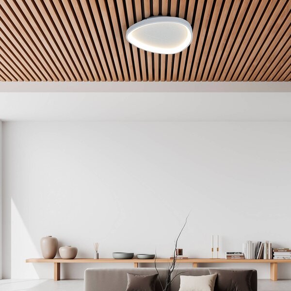 Stropné LED svetlo Argesa, Ø 42 cm, biele, diaľkové ovládanie, Biela / opálová, Obývacia izba / jedáleň, kov, Moderný, Závesné svietidlo