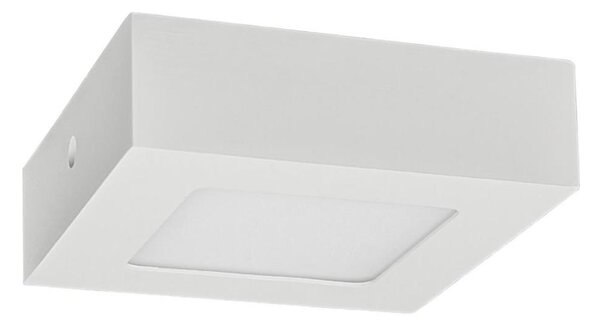 LED Stropné svietidlo FENIX LED/6W/230V 2800K 12 cm