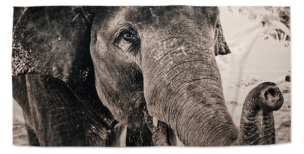 Sablio Uterák Slon - 30x50 cm