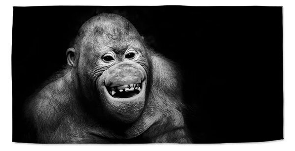 Sablio Uterák Orangután - 30x50 cm