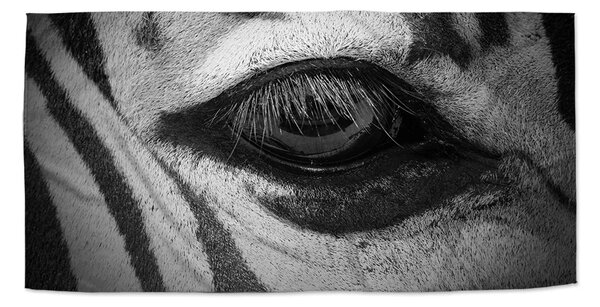 Sablio Uterák Oko zebry - 30x50 cm