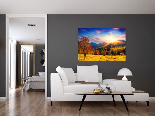 Obraz - jeseň v prírode (Obraz 60x40cm)