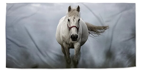 Sablio Uterák Biely kôň 3 - 30x50 cm