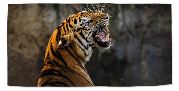 Sablio Uterák Revúci tiger - 30x50 cm