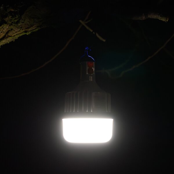 Závesný LED lampáš Bulb, 1x LED 10w