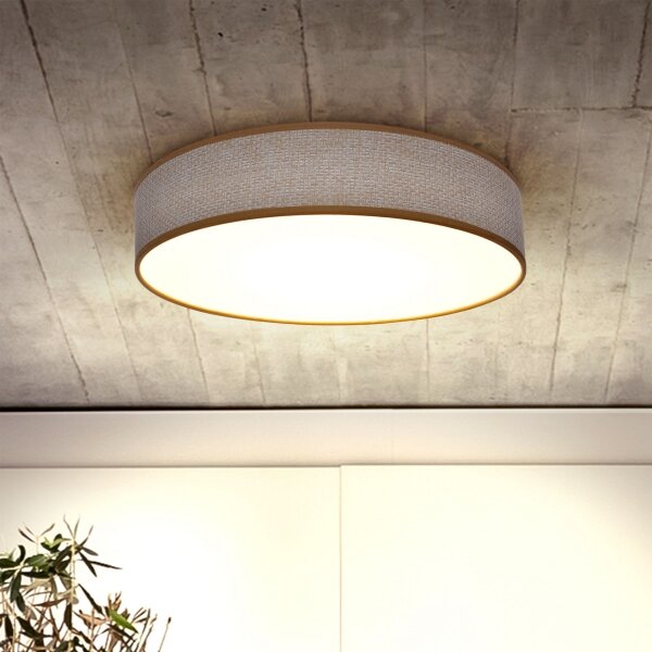 Brilagi - LED Stmievateľné stropné svietidlo CARMEN LED/48W/230V 3000-6500K + DO