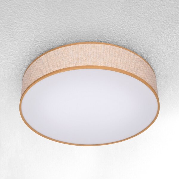 Brilagi - LED Stmievateľné stropné svietidlo CARMEN LED/48W/230V 3000-6500K + DO
