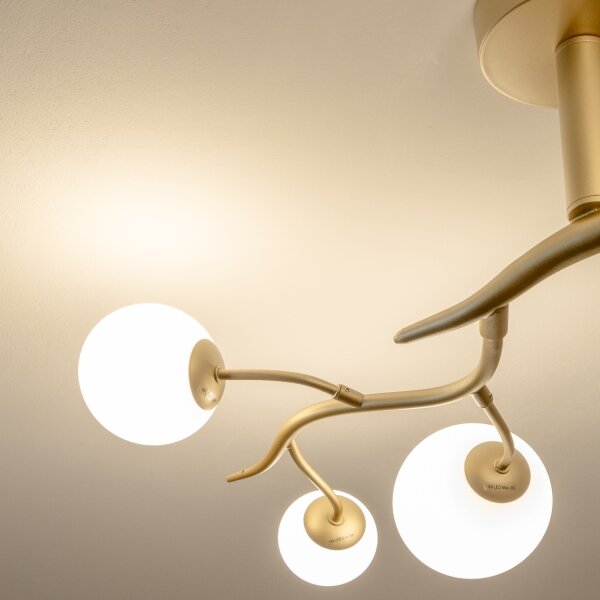 Brilagi - LED Prisadený luster MISTEL 6xG9/3W/230V zlatá/biela