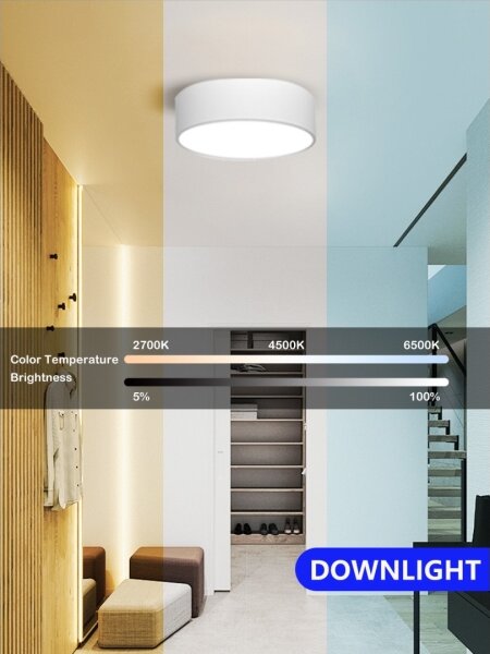 Immax NEO 07204L - LED Stmievateľné svietidlo RONDATE LED/18W/230V biela Tuya + DO