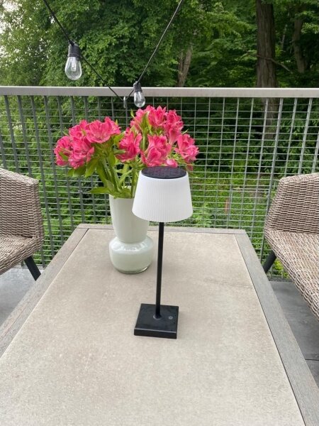 Immax 08492L - LED Stmievateľná vonkajšia solárna lampa LED/4W/5V IP44