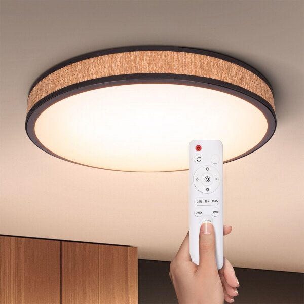 Brilagi - LED Stmievateľné stropné svietidlo ROSA LED/48W/230V 3000-6500K + DO