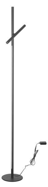 STOJACIA LED LAMPA, tlačidlový stmievač, 22/172,5 cm Dieter Knoll - Interiérové svietidlá