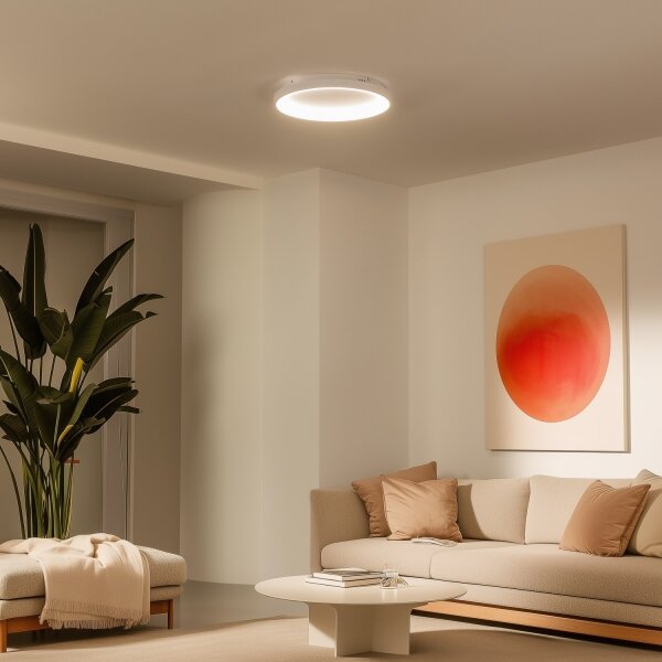 Brilagi - LED stmievateľné stropné svietidlo FALCON SLIM LED/42W/230V pr. 50 cm biela +DO