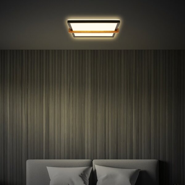 Briloner 3845015 - LED Stropné svietidlo LED/18W/230V 29,5x31,5 cm