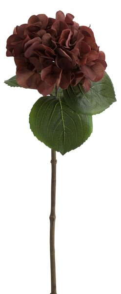 Hnedá dekoračné kvetina Hortenzia - 17*62 cm