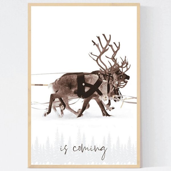 SADA OBRAZOV, 33/48/2 cm X-Mas - Obrazy, Online Only